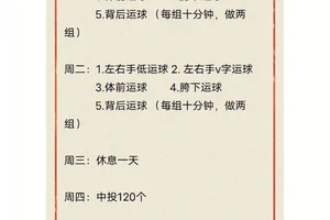 职业篮球主力的日常训练计划全解析:打造冠军之路的秘密